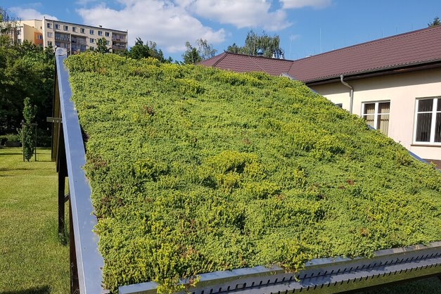 system zielonego dachu