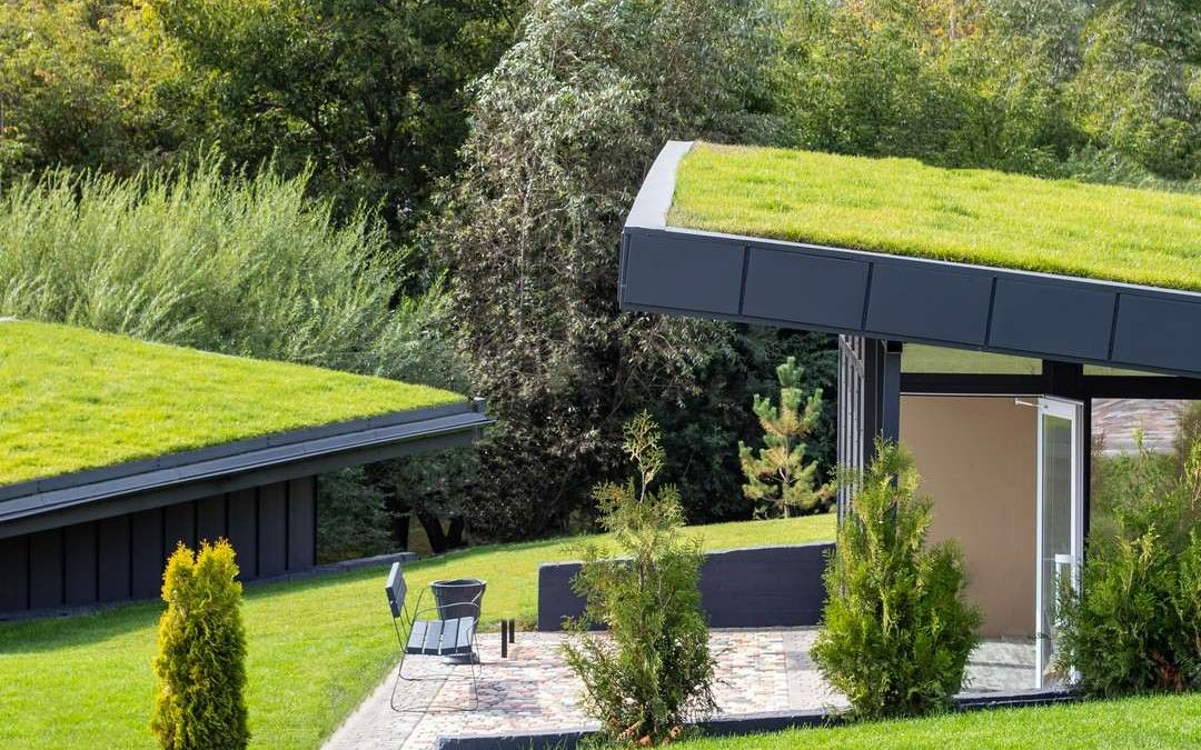 zielone systemy dachowe