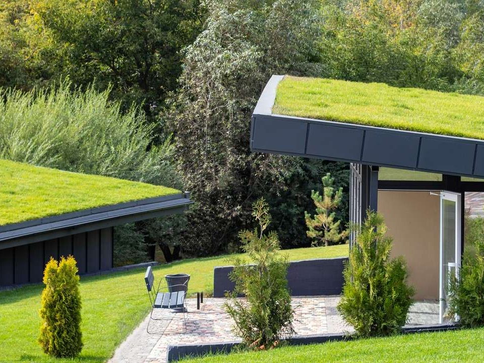 zielone systemy dachowe